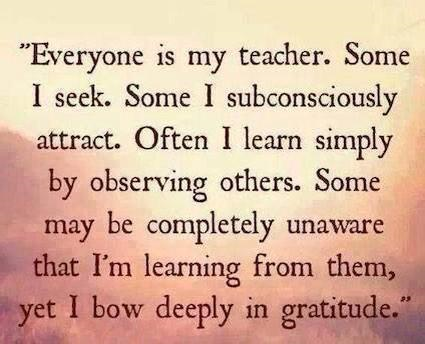 every day a school day